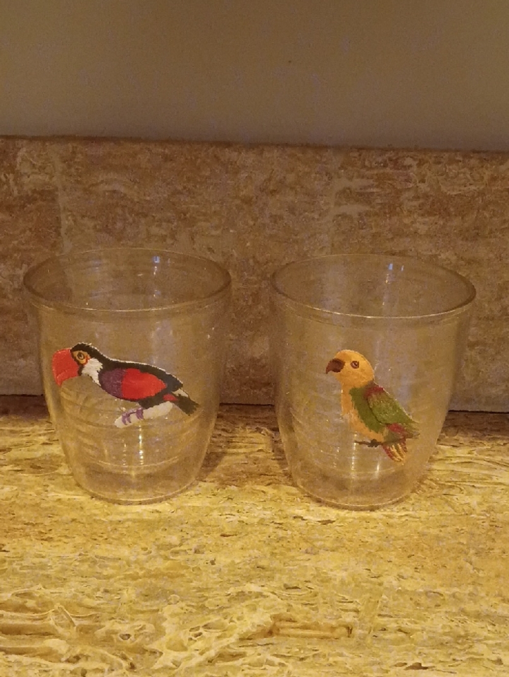 Vintage Parrot & Tucan 12 Oz.Tervis Tumblers Set Of 2 No Lids